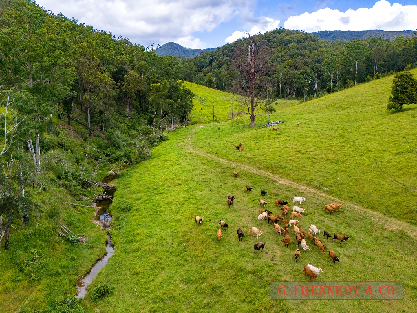 Additional image 16 of 123 Thumb Creek Rd, Thumb Creek NSW 2447