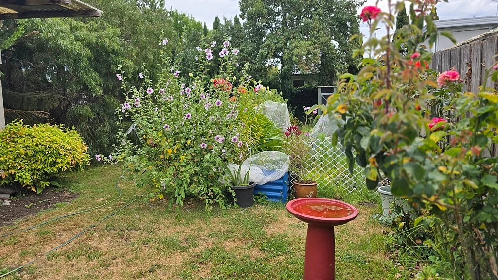 Additional image 14 of 32 Bryan Street, Invermay TAS 7248