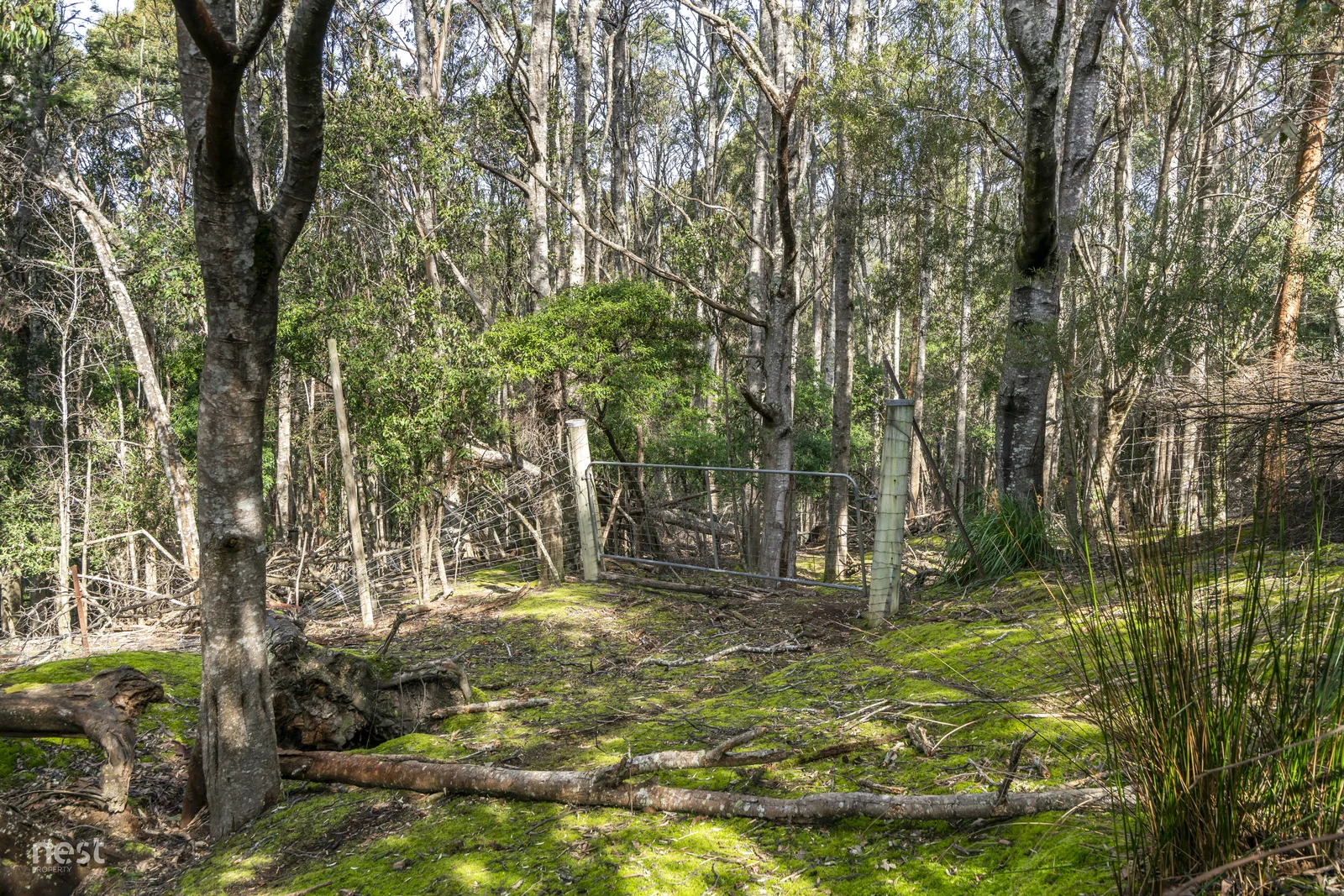 Additional image 15 of 405 Whittons Road, Kettering TAS 7155