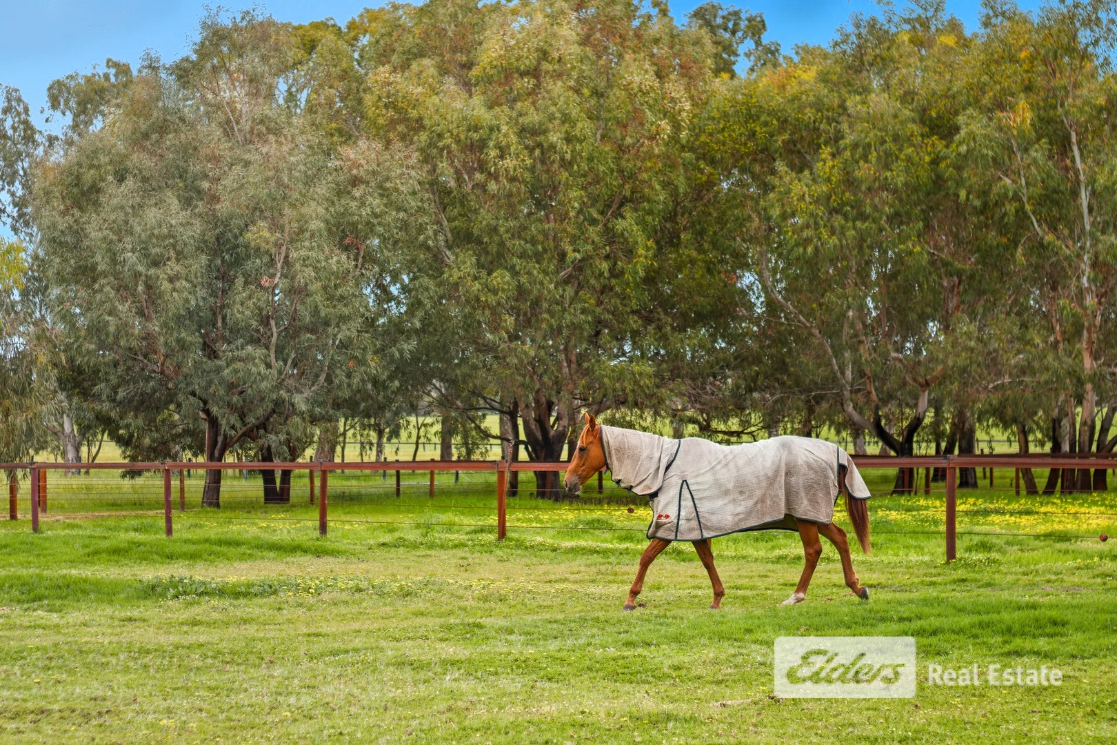 Additional image 20 of 212 Goodwood Road, Capel WA 6271