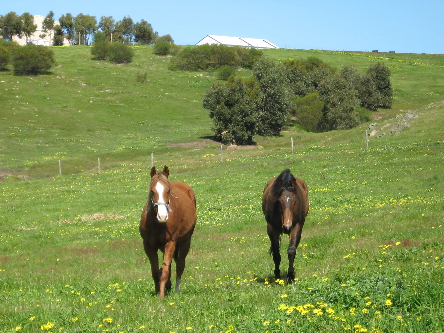 Additional image 21 of 7 Hidden Valley Lane, Boston SA 5607