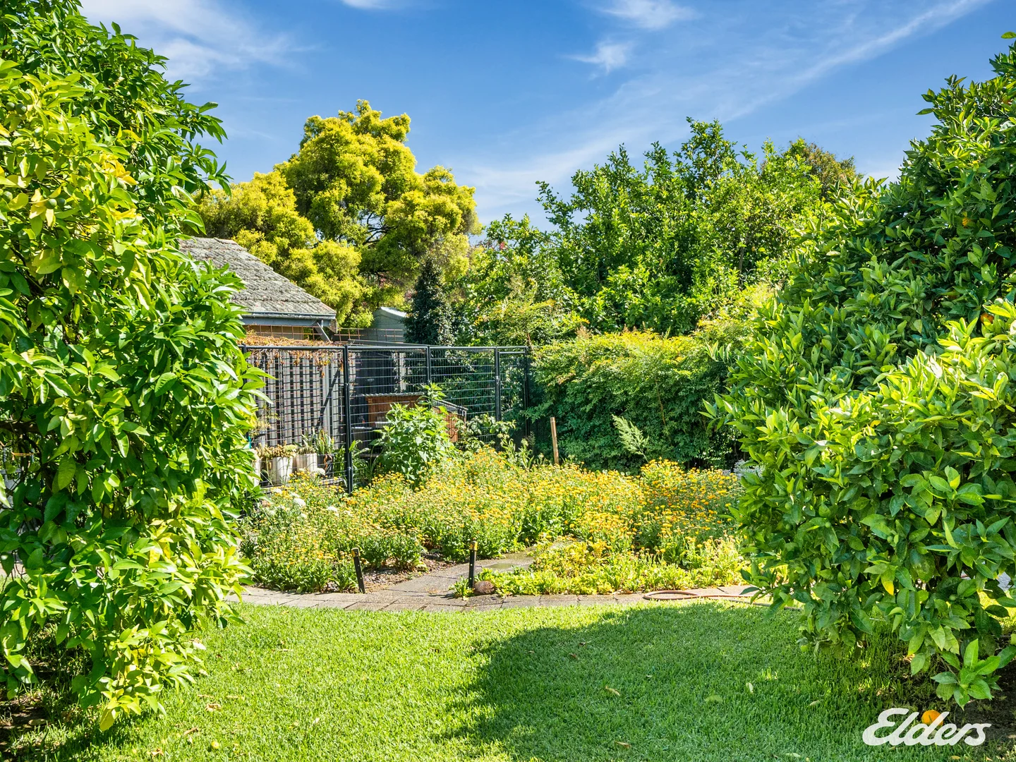 Additional image 23 of 7 Foy Street, Euroa VIC 3666