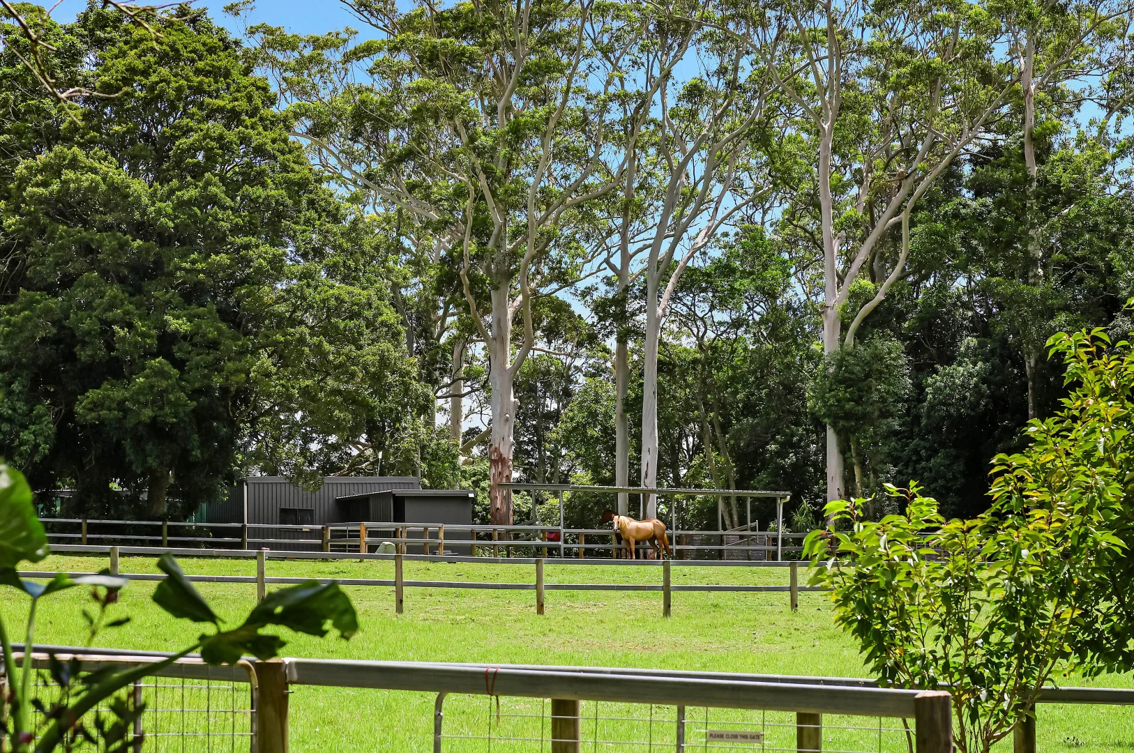 Additional image 9 of 22 Bartle Road, Tamborine Mountain QLD 4272