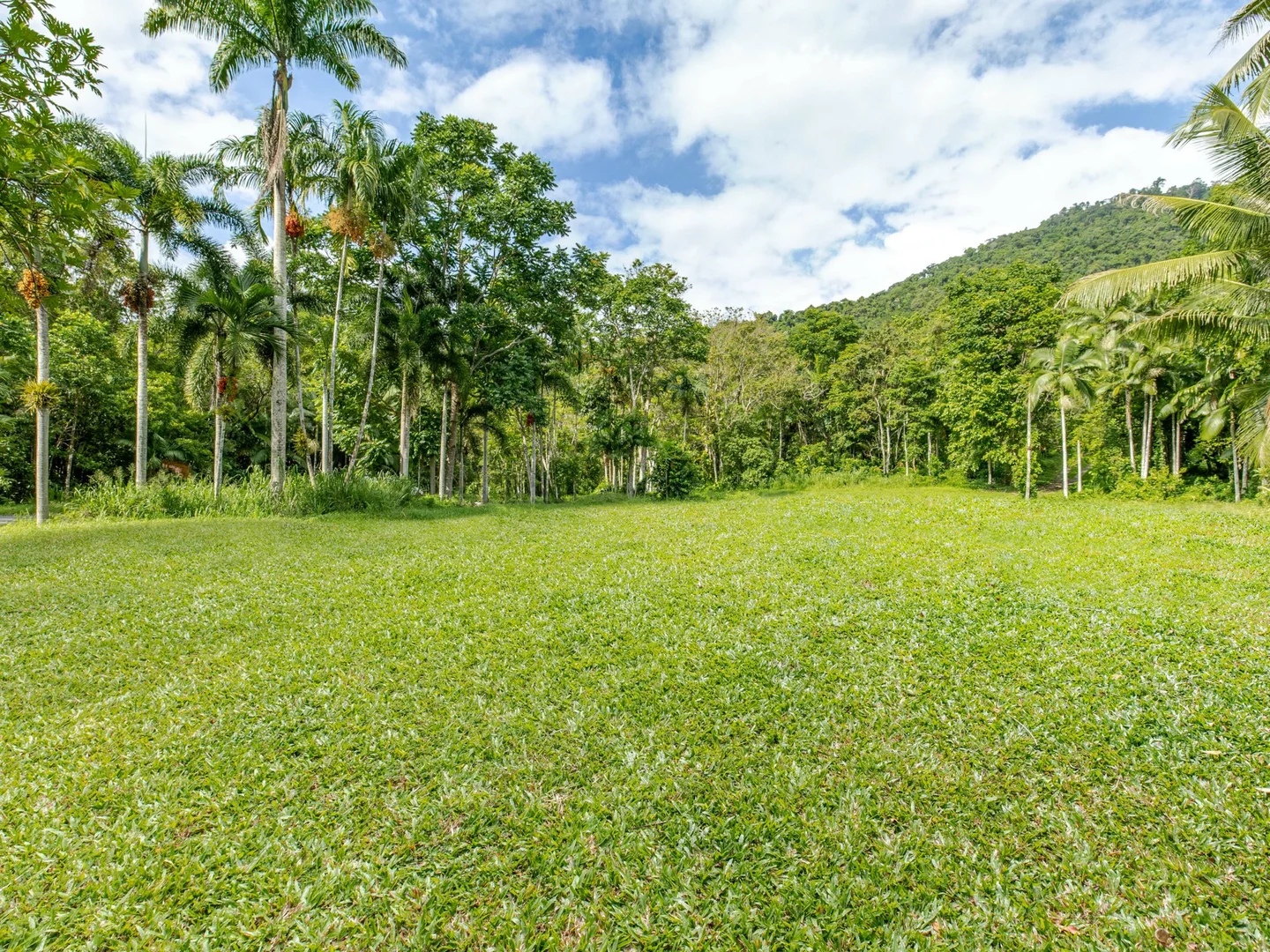 Additional image 3 of 388 Finlayvale Road, Finlayvale QLD 4873