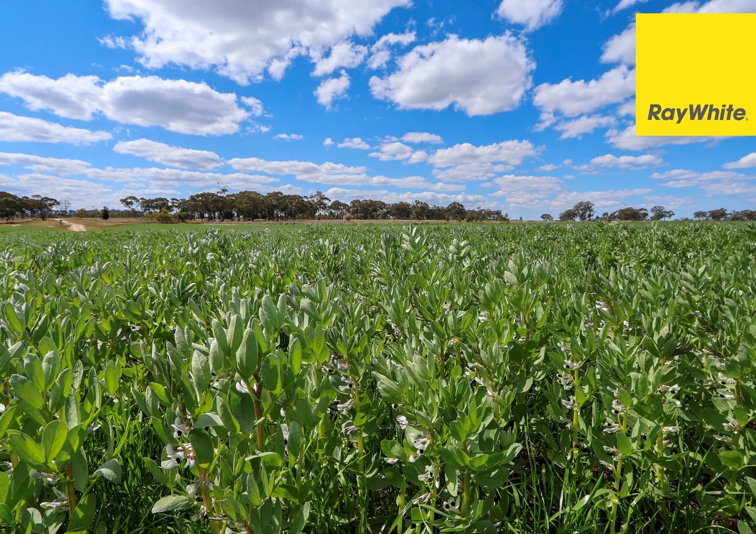 Additional image 9 of 11 Delungra Bypass Road, Inverell NSW 2360