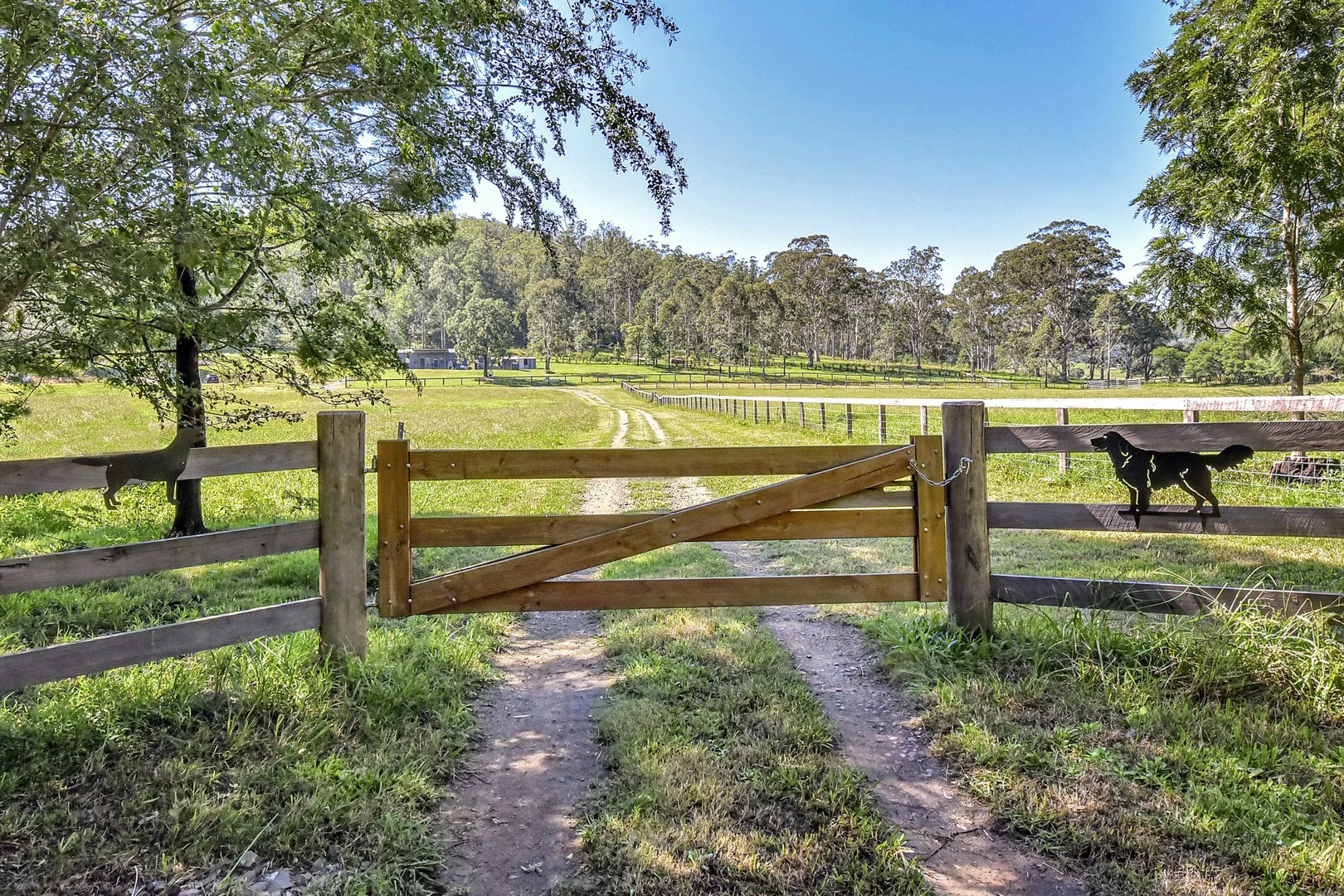 Additional image 29 of 61 Narone Creek Rd, Wollombi NSW 2325