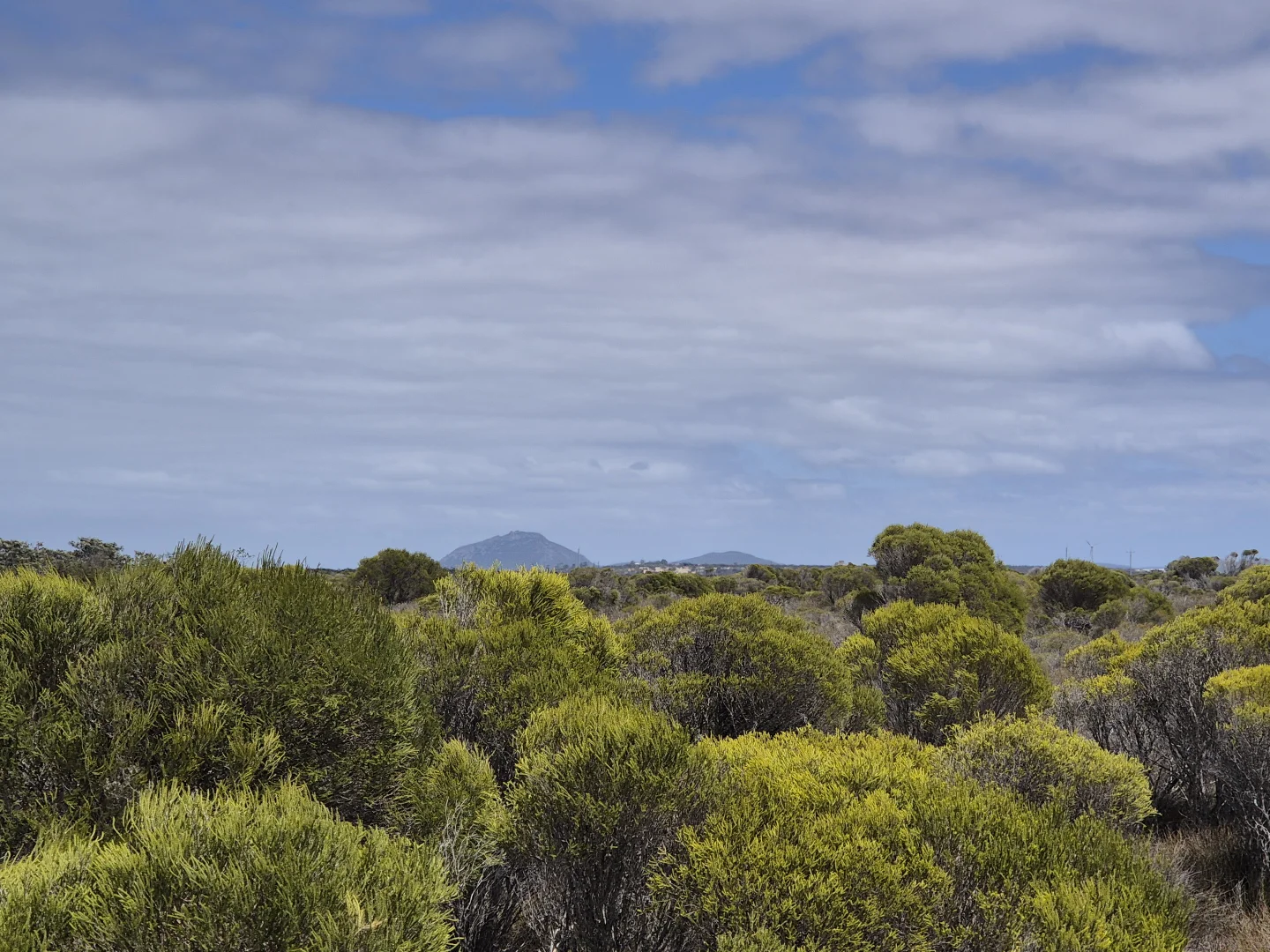 Additional image 3 of 344 Dotterel Drive, Hopetoun WA 6348