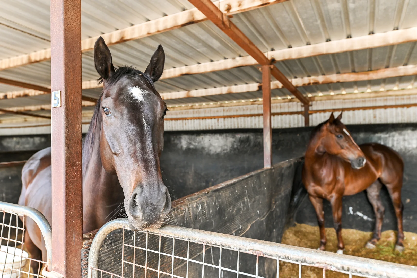 Additional image 12 of 50 Langley Road, Cranbourne South VIC 3977