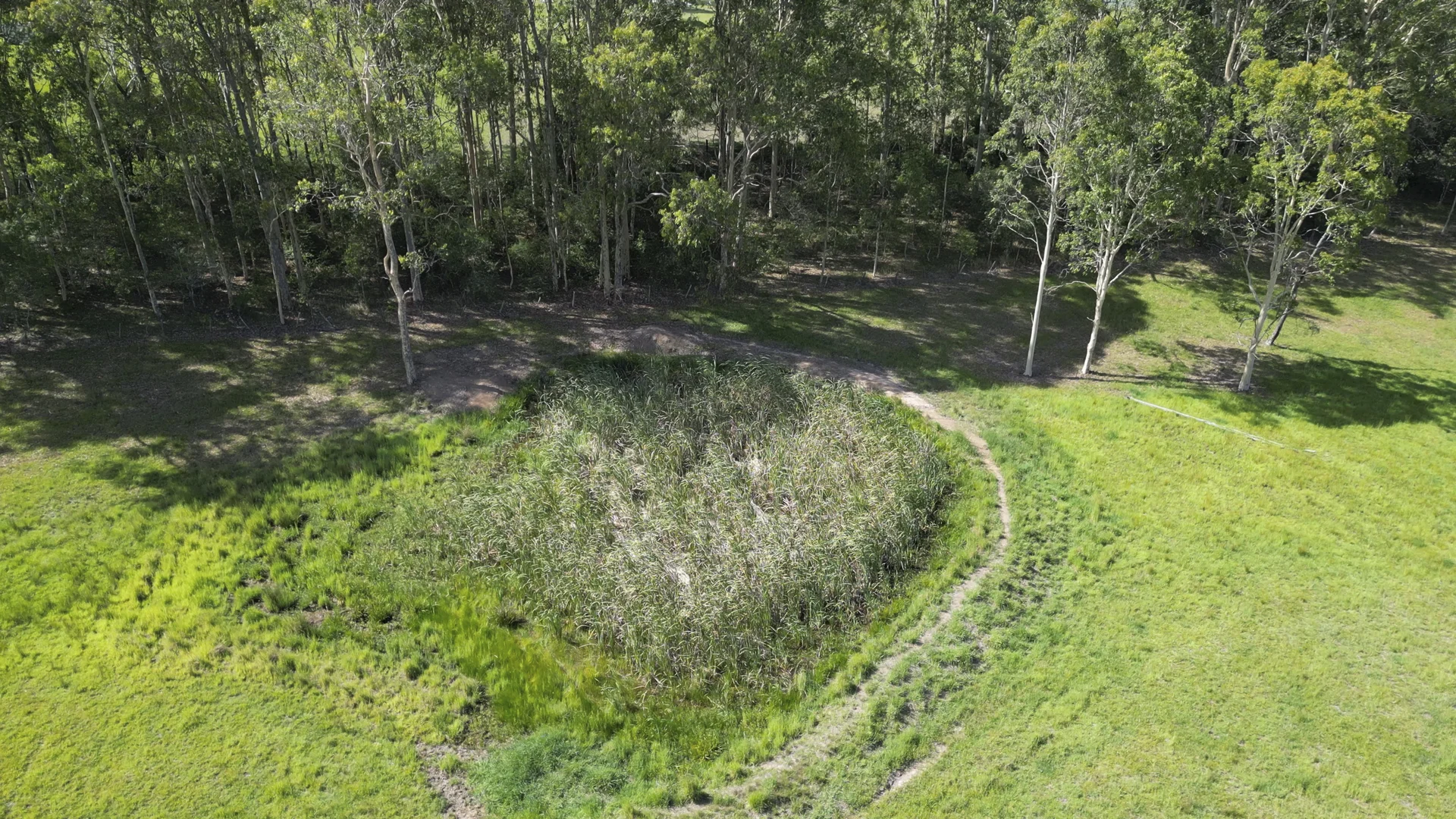 Additional image 24 of 65 Cook Street, Lawrence NSW 2460