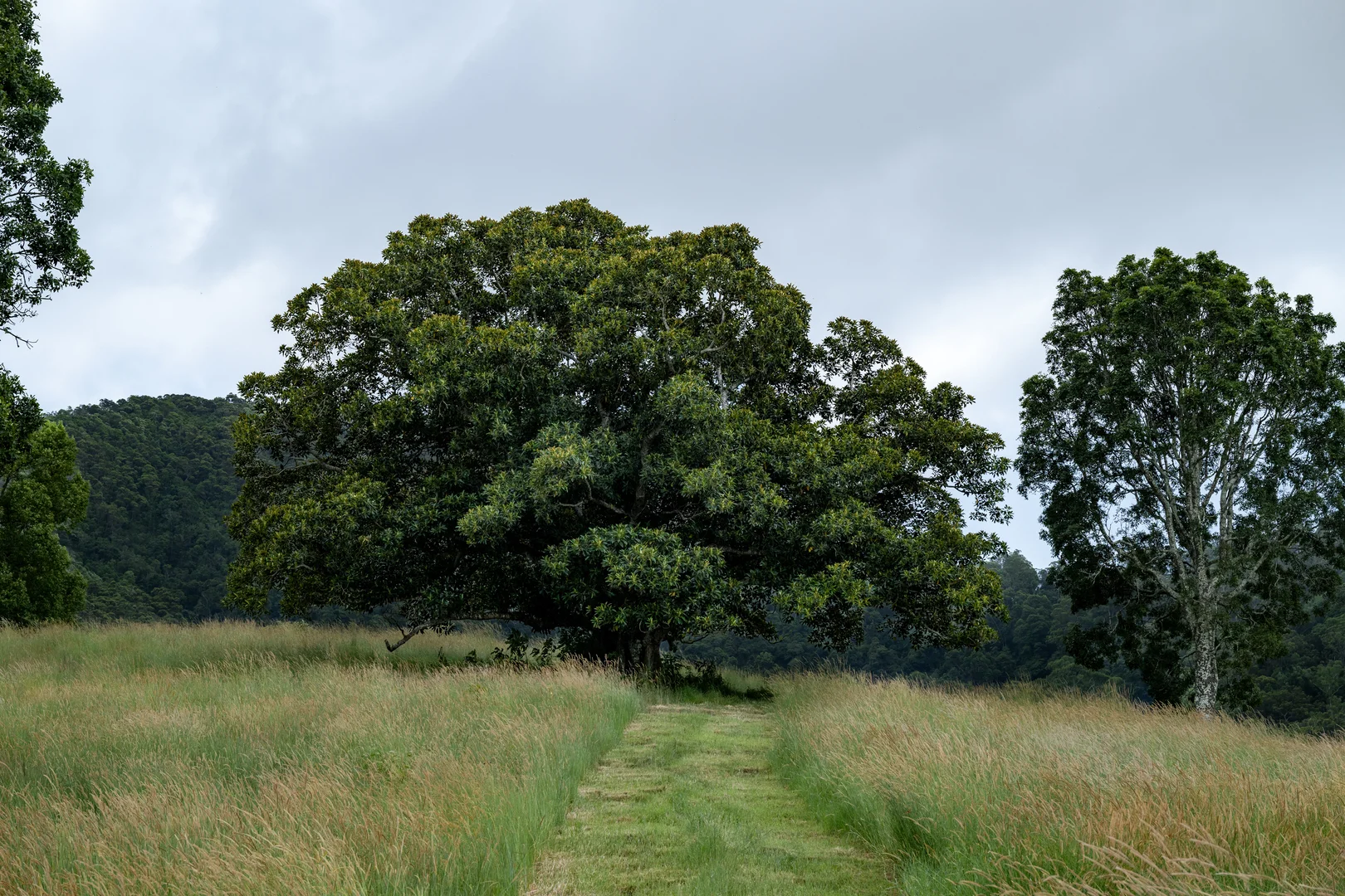 Additional image 6 of 43 Cutmore Road, Obi Obi QLD 4574