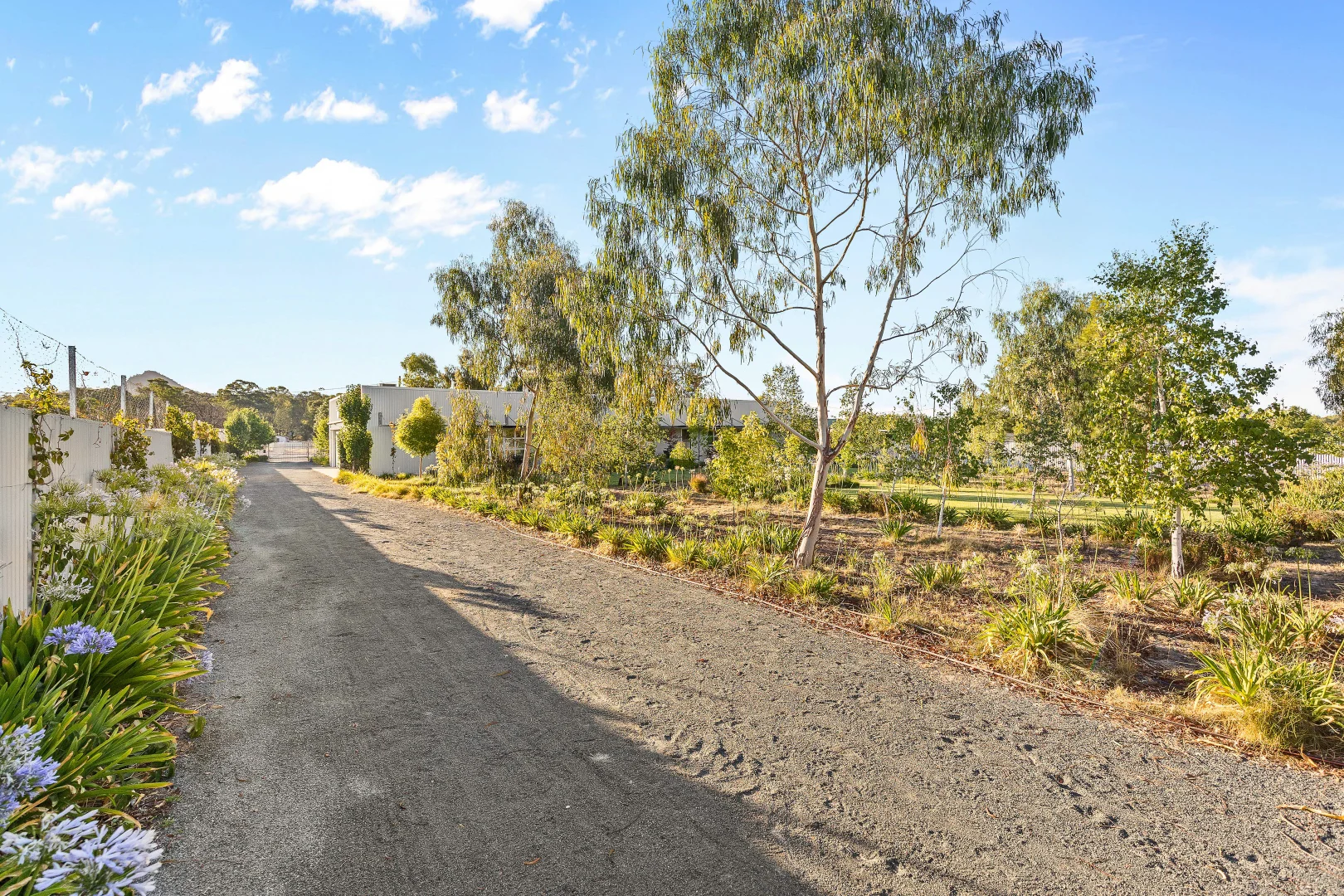 Additional image 22 of 13 Emily Street, The Rock NSW 2655