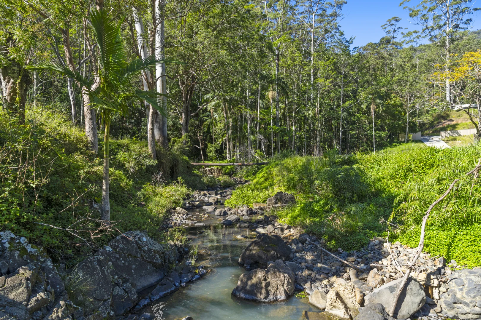 Additional image 16 of 193 Petsch Creek Road, Tallebudgera Valley QLD 4228