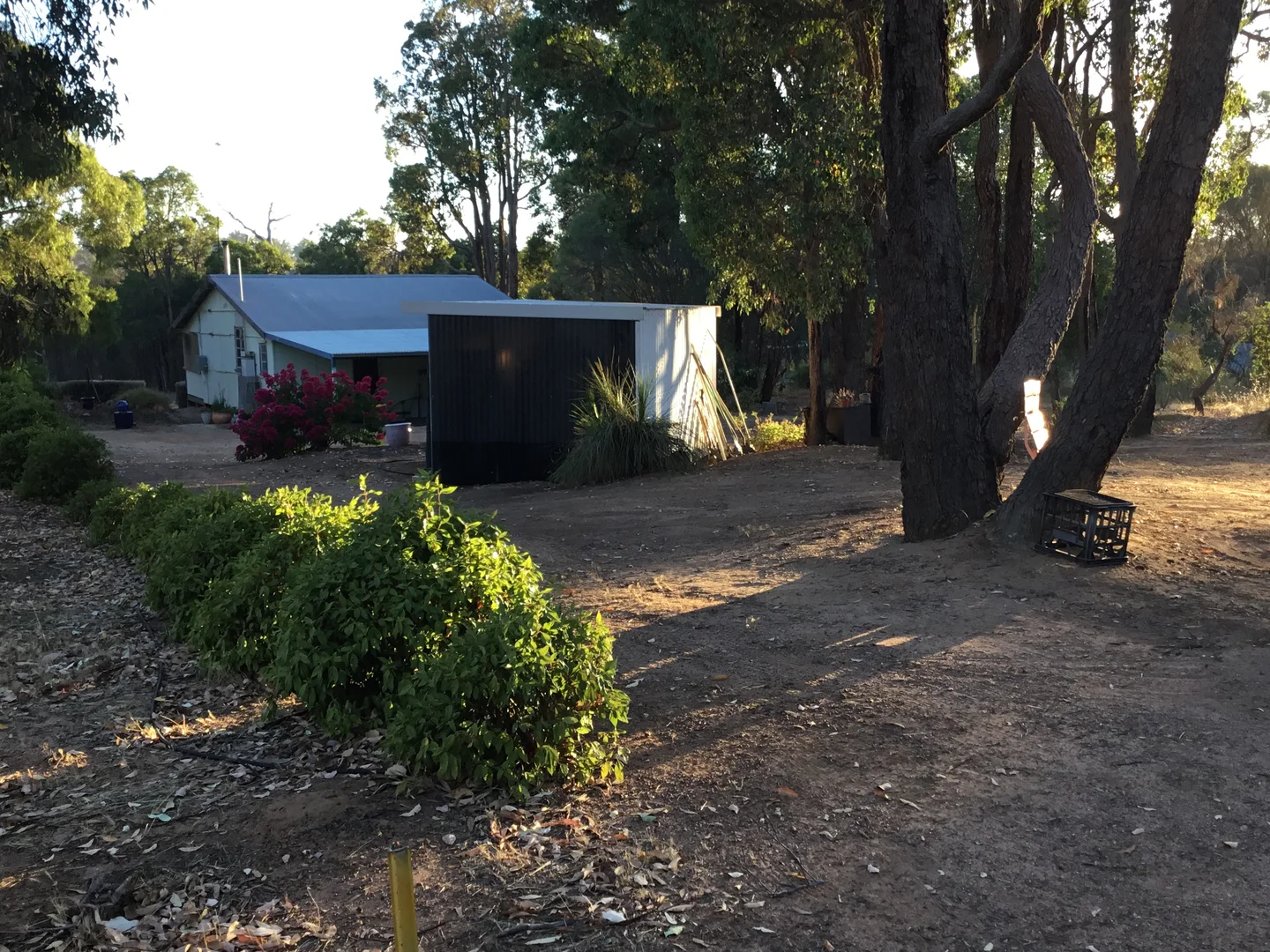 Additional image 9 of 17 Piesse Street, Muradup WA 6394