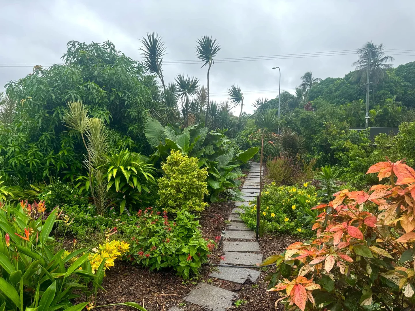 Additional image 26 of 94 Gifford Street, Horseshoe Bay QLD 4819