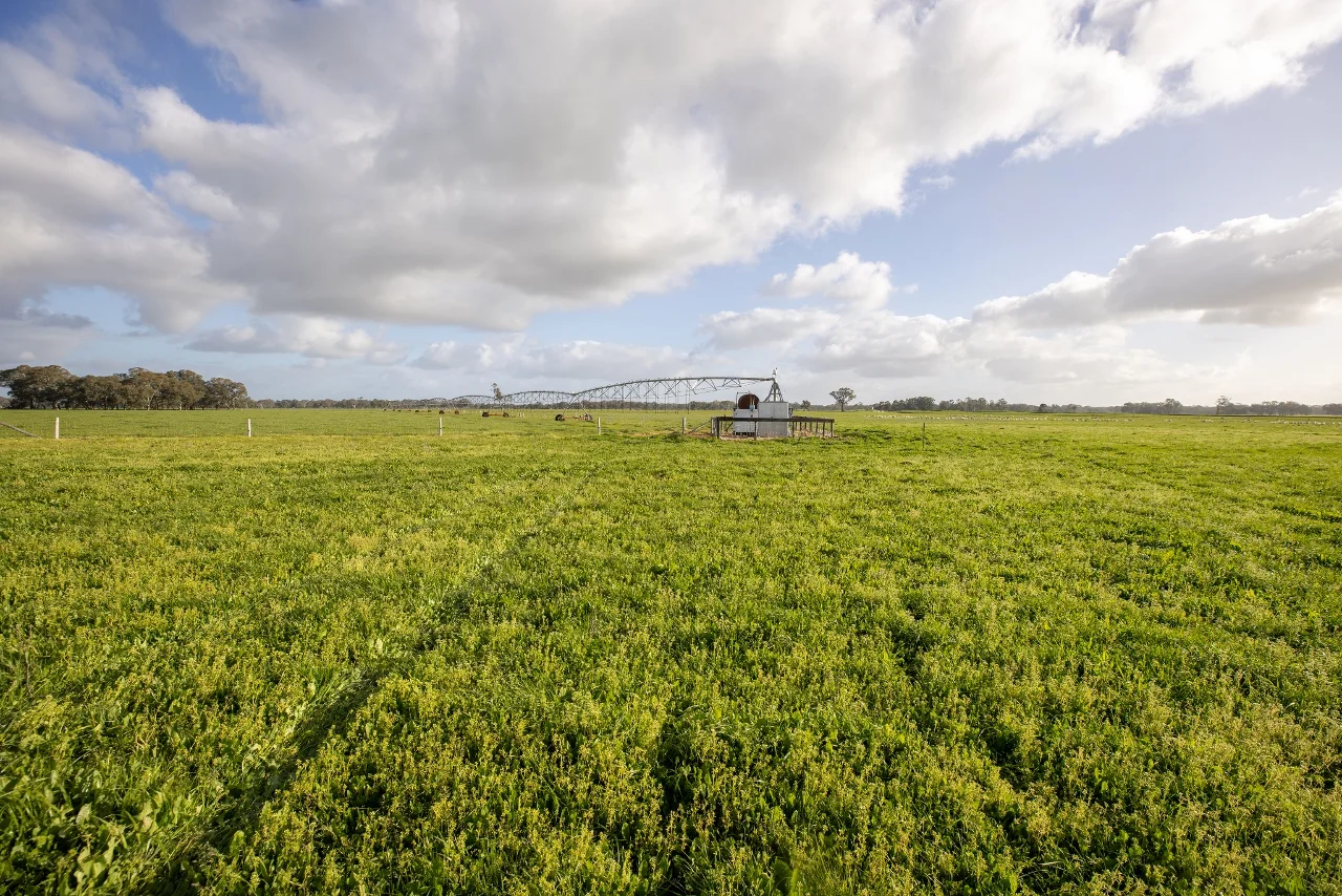 Additional image 16 of 546 Bool Lagoon West Road, Penola SA 5277