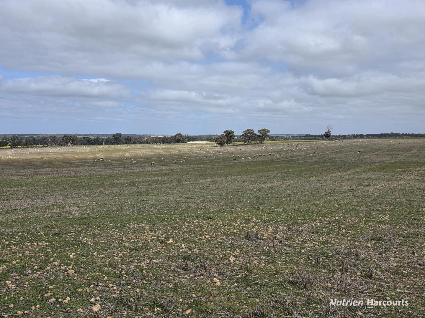 Additional image 26 of Lot 347 Yarralena Road, Cranbrook WA 6321