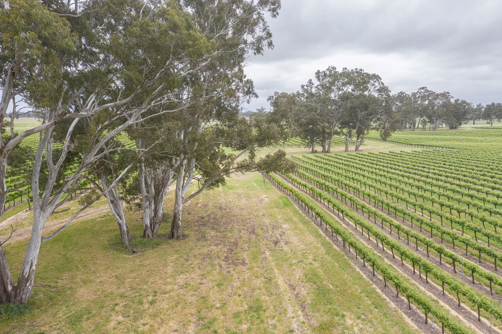 Additional image 7 of Nolans Road, Hynam SA 5262