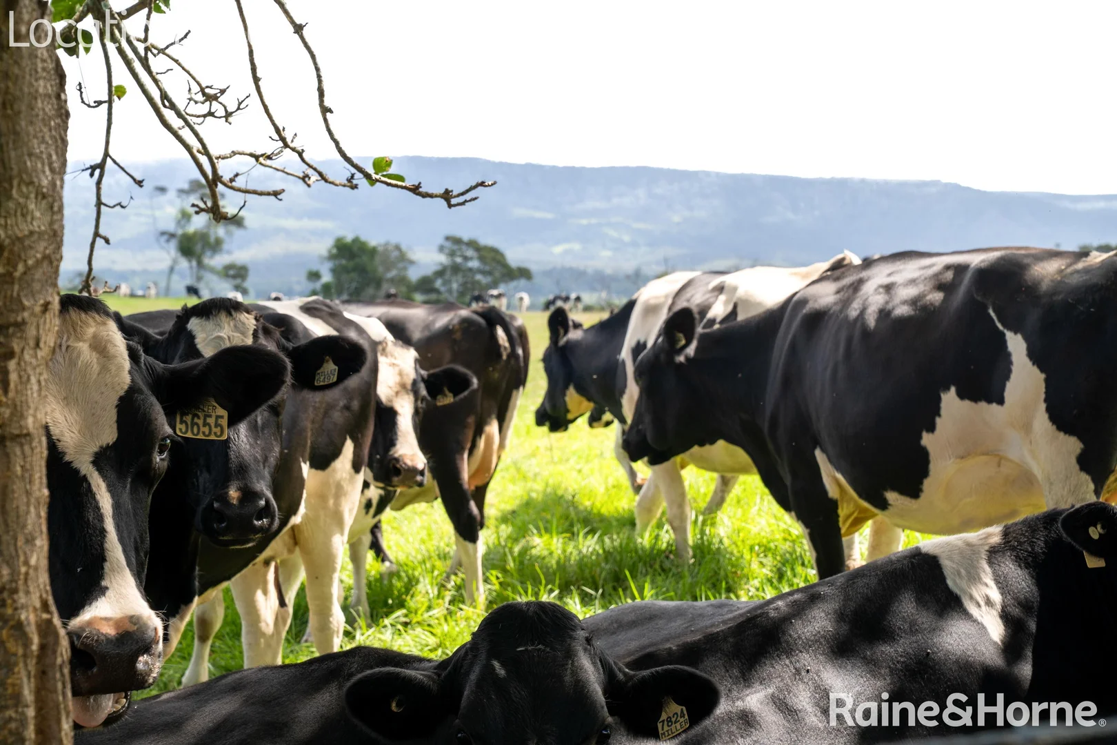 Additional image 15 of 22 (Lot 608) Melville Place, Milton NSW 2538