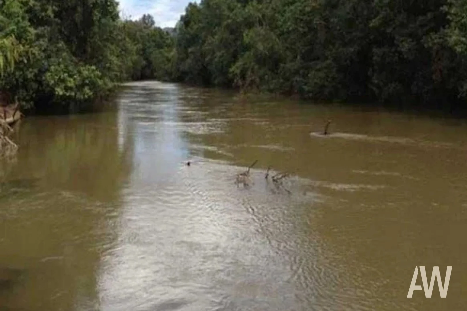 Additional image 13 of 222-330 Boyle Road, Belli Park QLD 4562