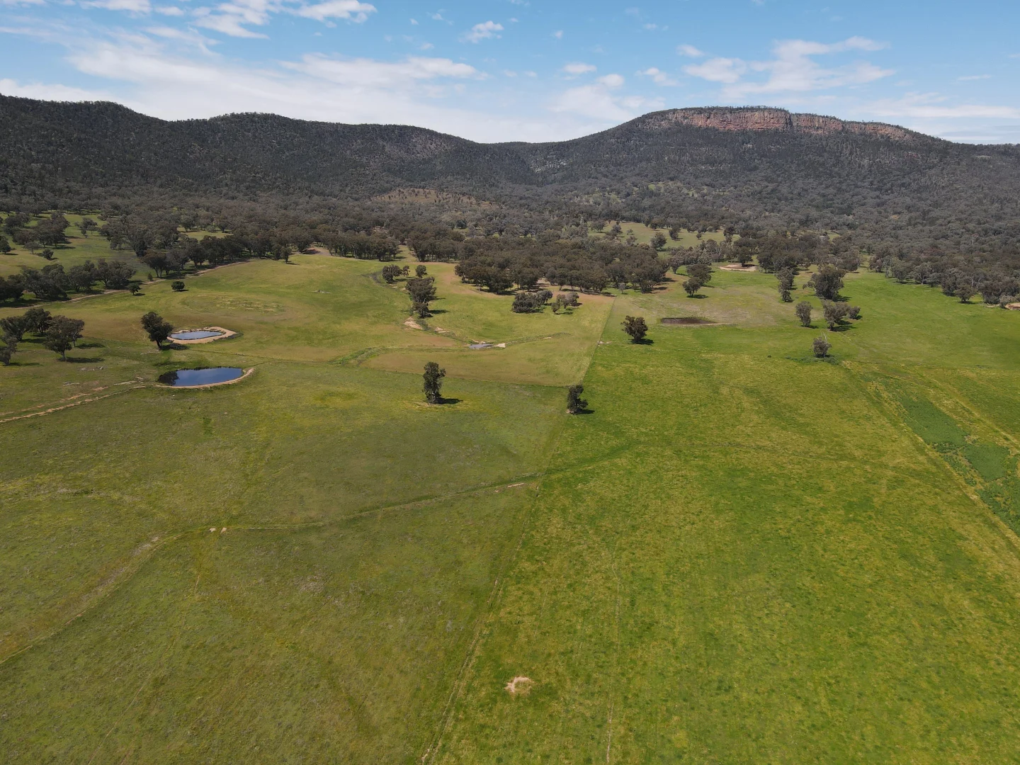 Additional image 10 of "Nangar Valley" 223 Rodwells Road, Murga NSW 2864
