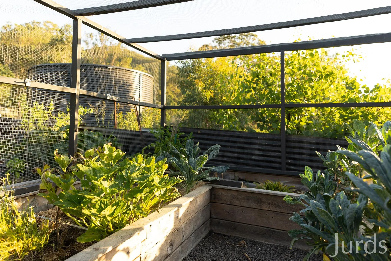 Additional image 31 of 1066 Wollombi Road, Broke NSW 2330