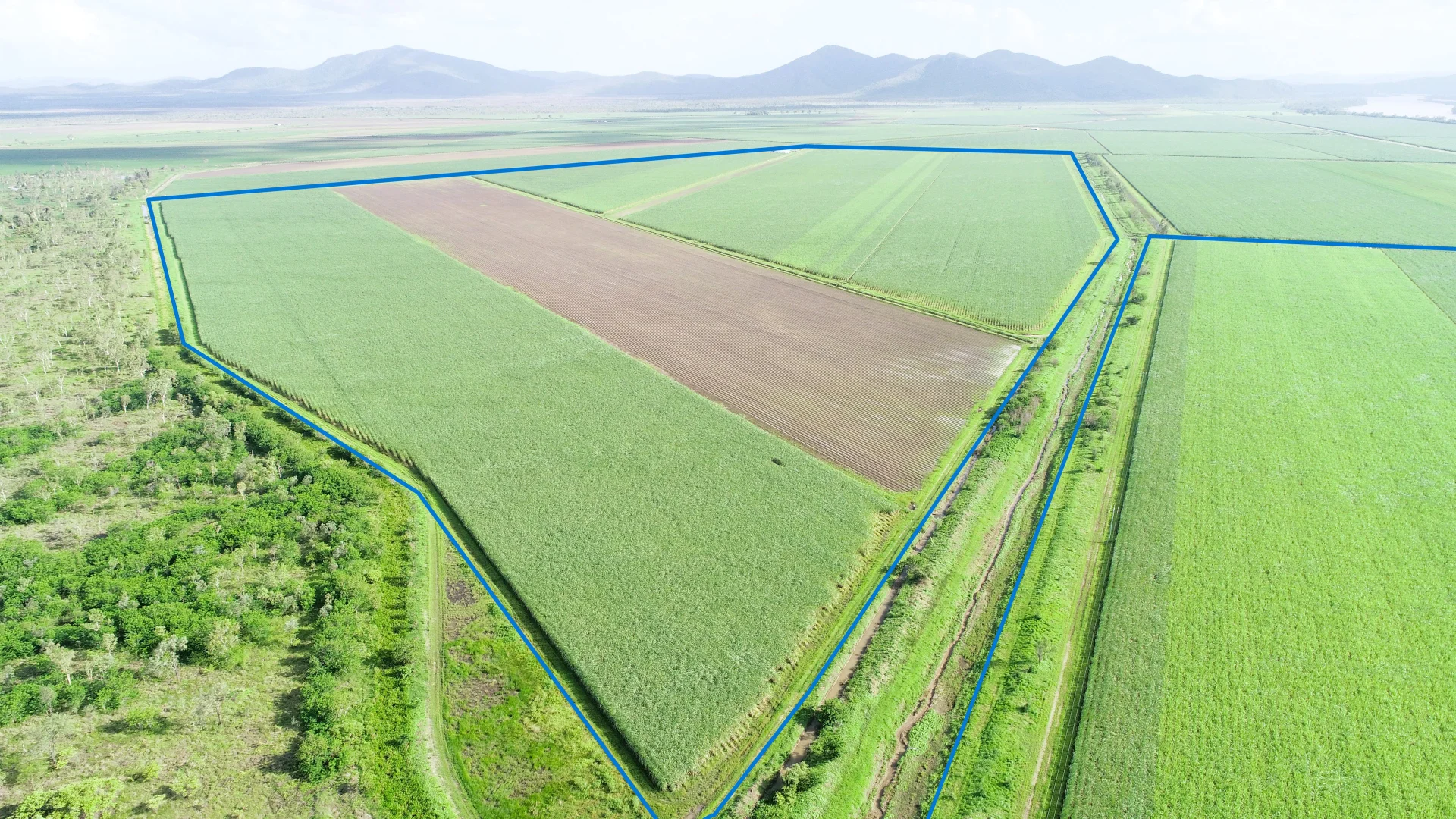 Additional image 5 of Kirknie QLD 4806