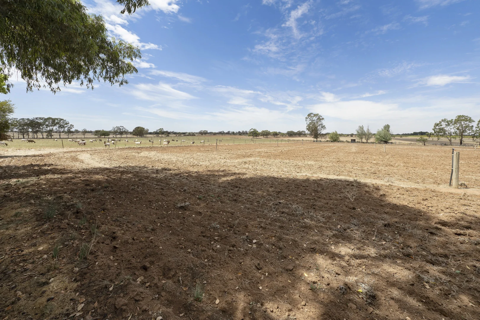 Additional image 29 of 55 Steicke Road, Beverford VIC 3590