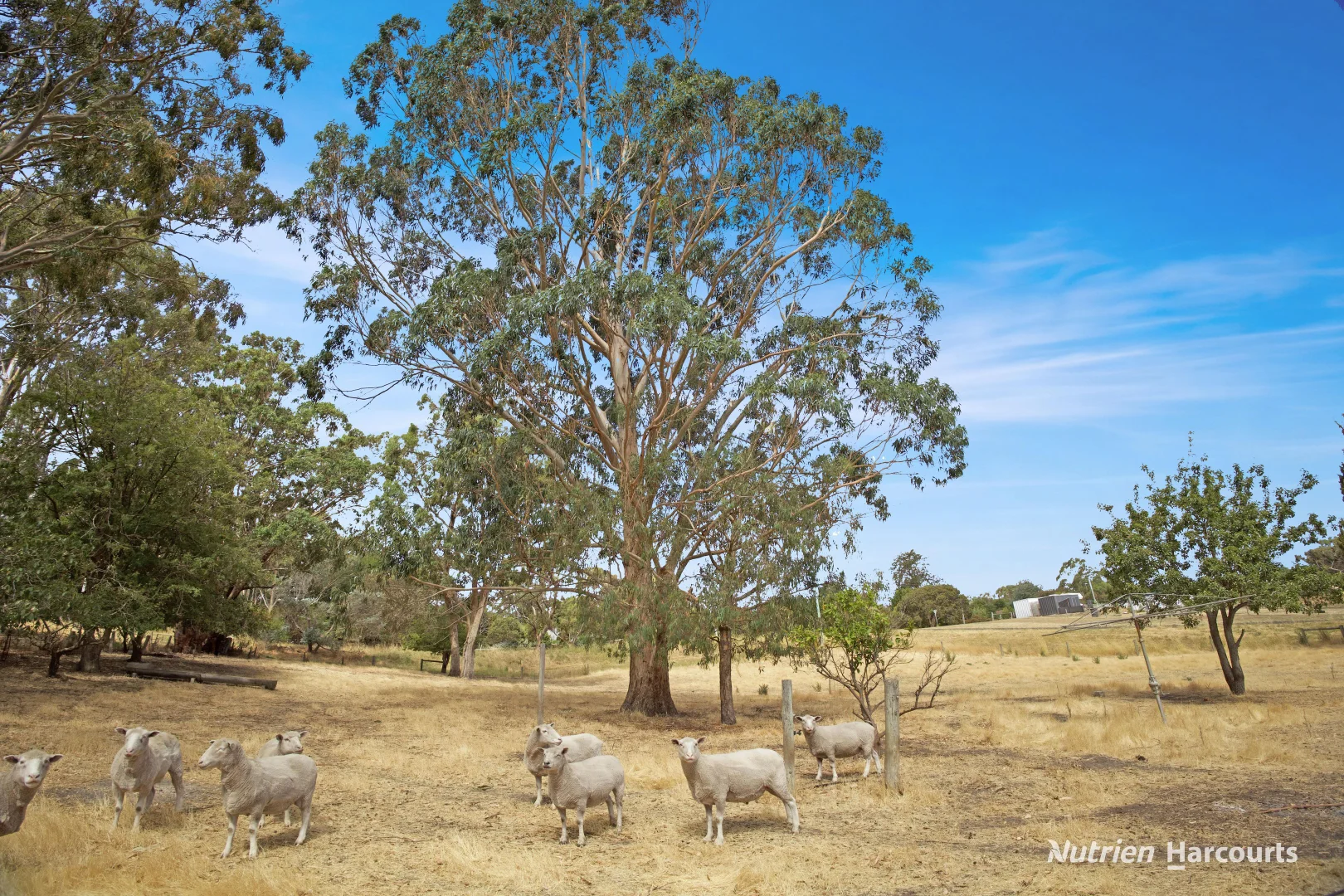Additional image 13 of 52 Henty Street, Merino VIC 3310