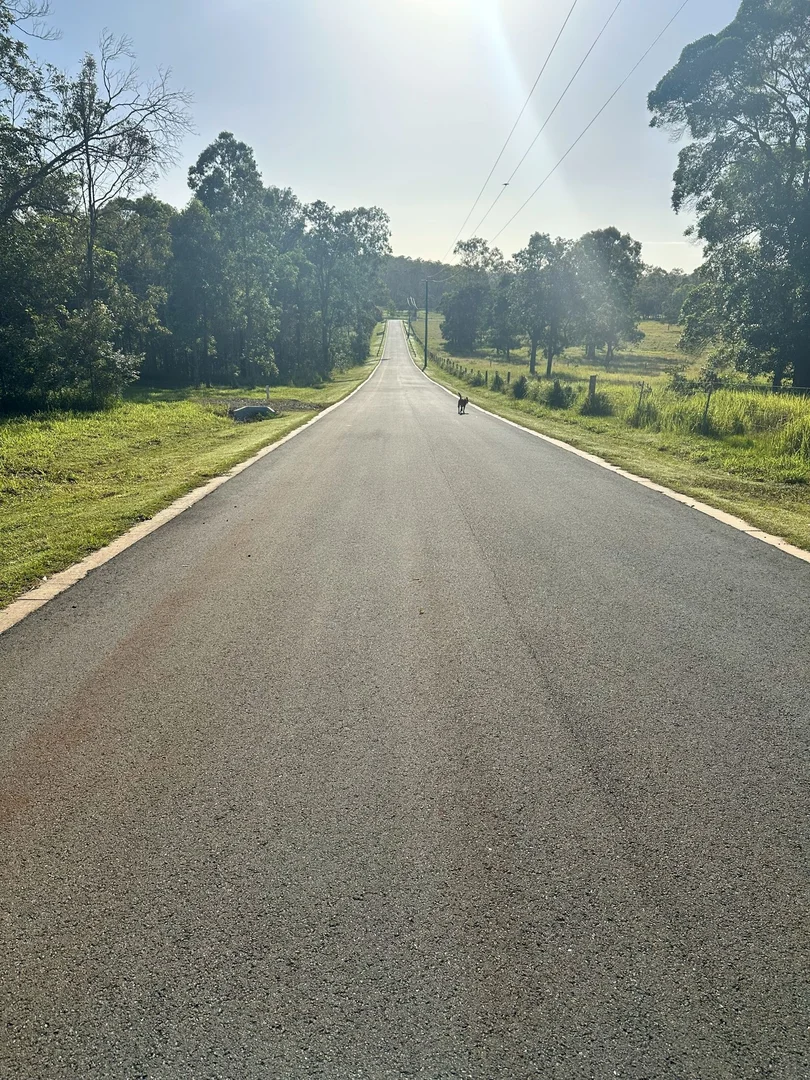 Additional image 3 of 18 Cavok Court, Kybong QLD 4570