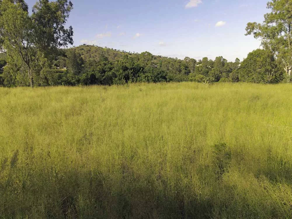 Additional image 8 of 8 Boyd Road, Gayndah QLD 4625