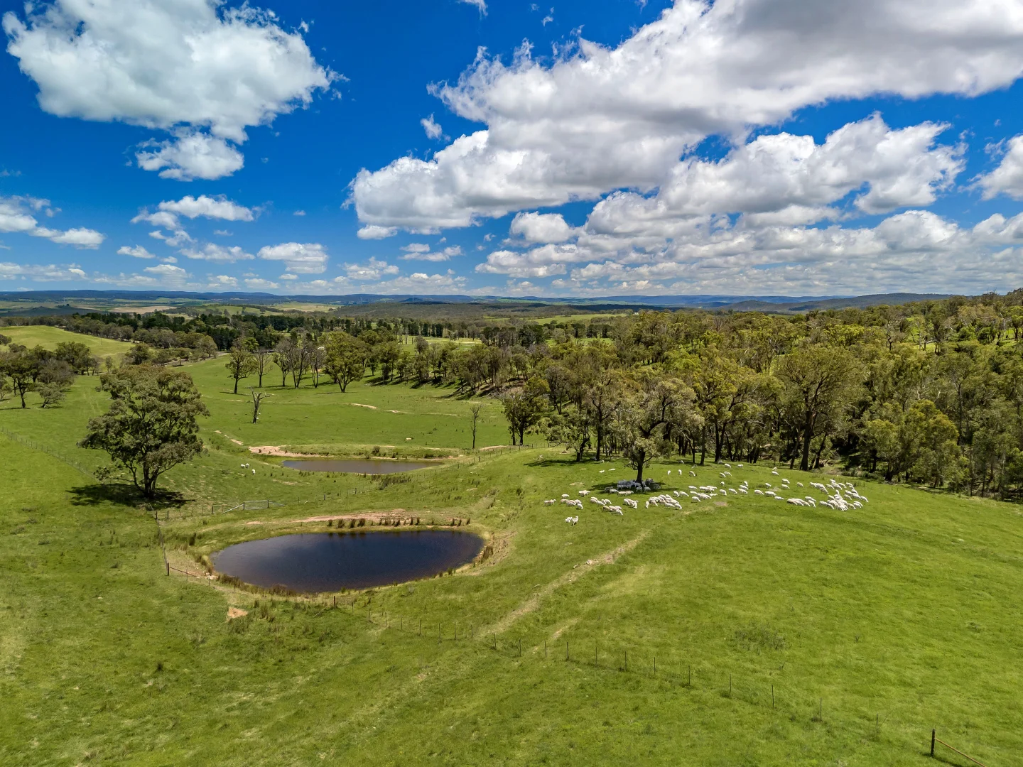 Additional image 4 of 1777 Canyonleigh Road, Canyonleigh NSW 2577