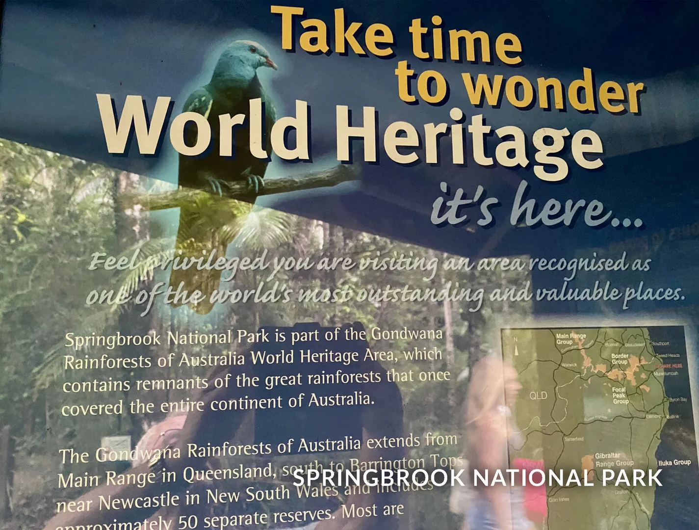 Additional image 31 of 1318 Currumbin Creek Road, Currumbin Valley QLD 4223