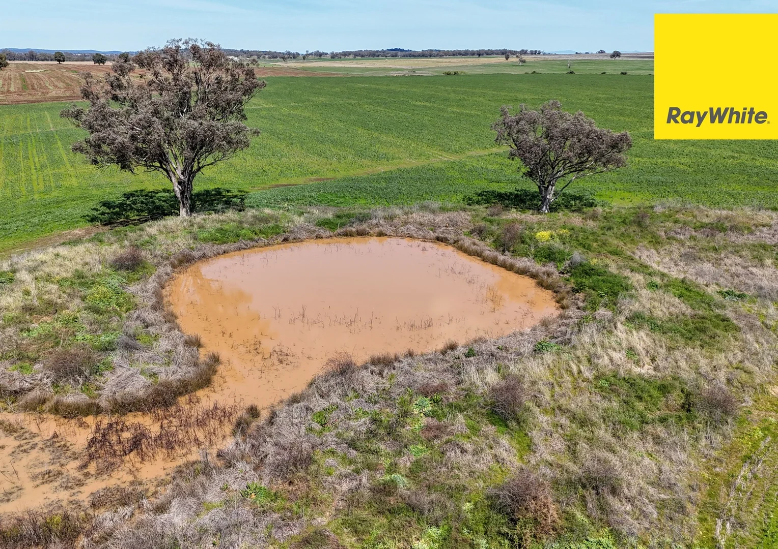 Additional image 10 of 11 Delungra Bypass Road, Inverell NSW 2360