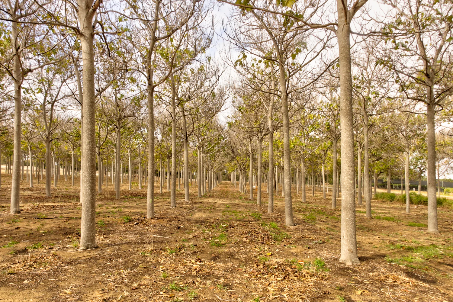 Additional image 23 of 317 Rangeview Drive, Wanerie WA 6503