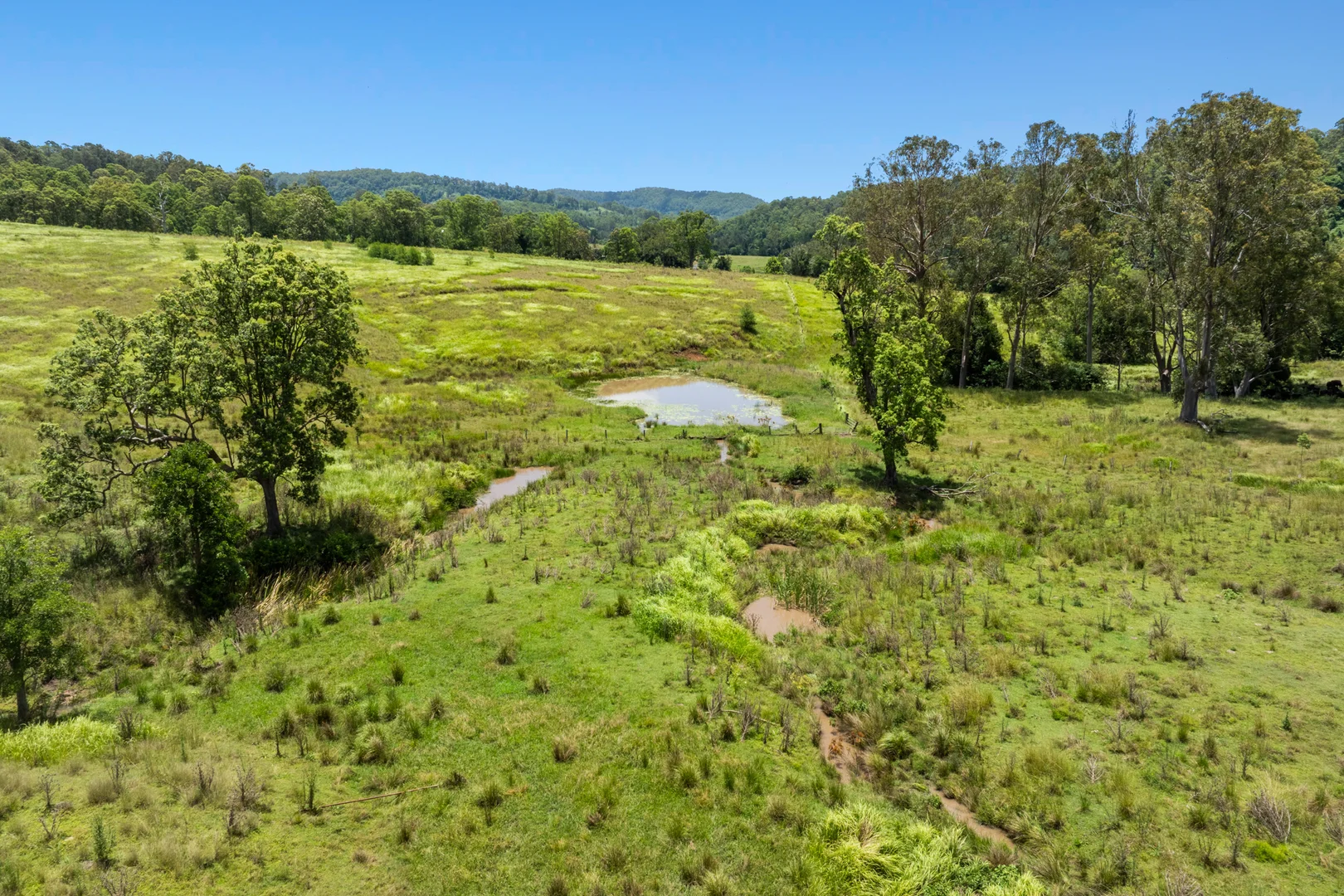 Additional image 12 of 665 Theresa Creek Road, Theresa Creek NSW 2469