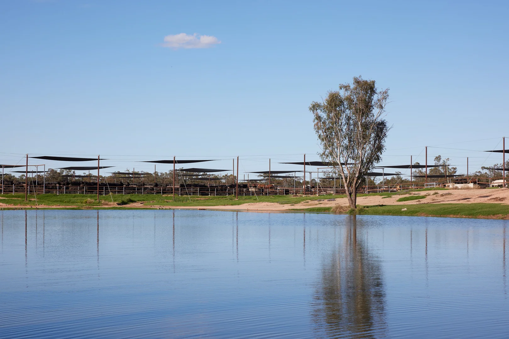 Additional image 14 of 91 Mort Street, Toowoomba City QLD 4350