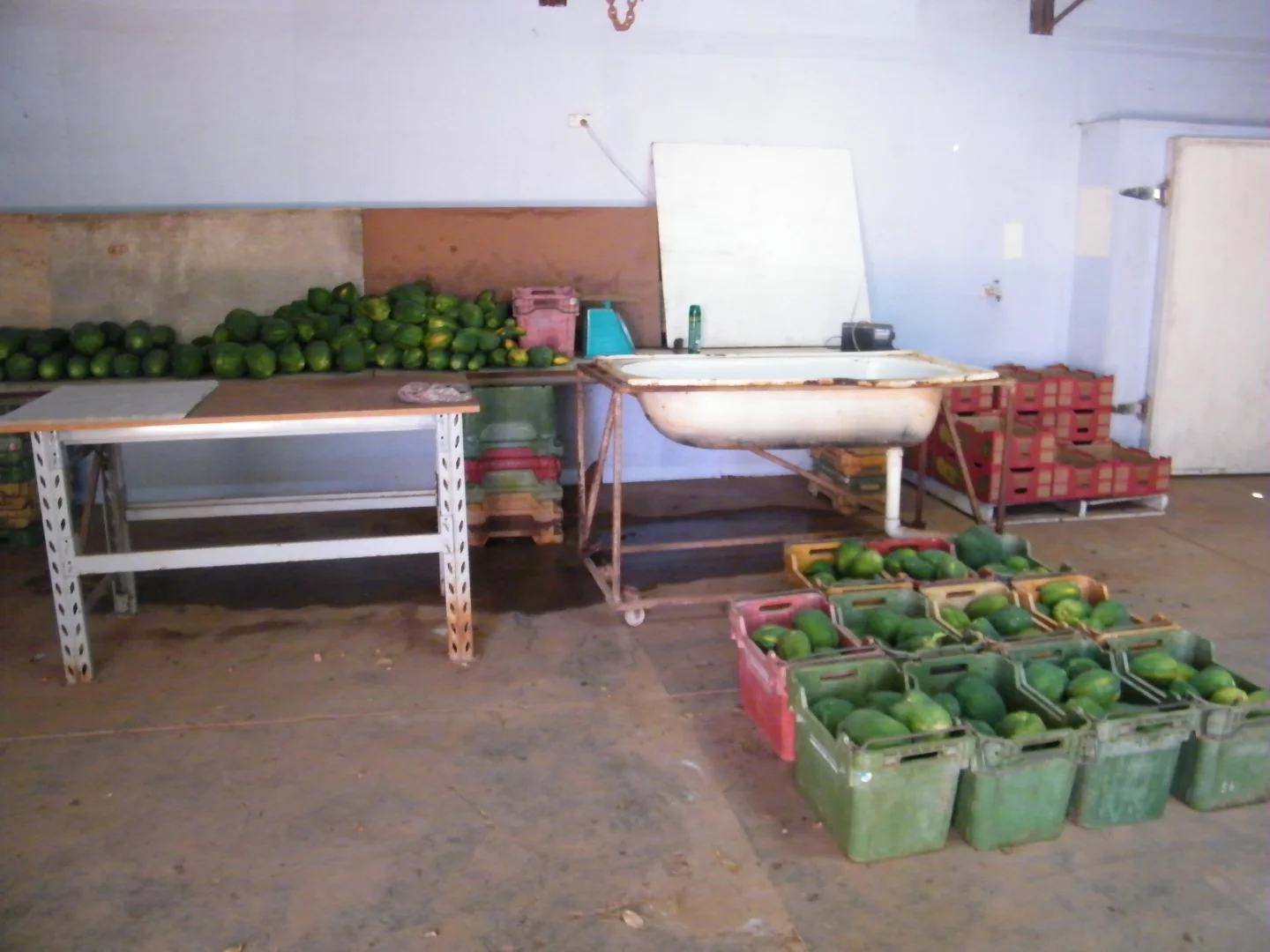 Additional image 21 of 270 Margaret Row, Carnarvon WA 6701