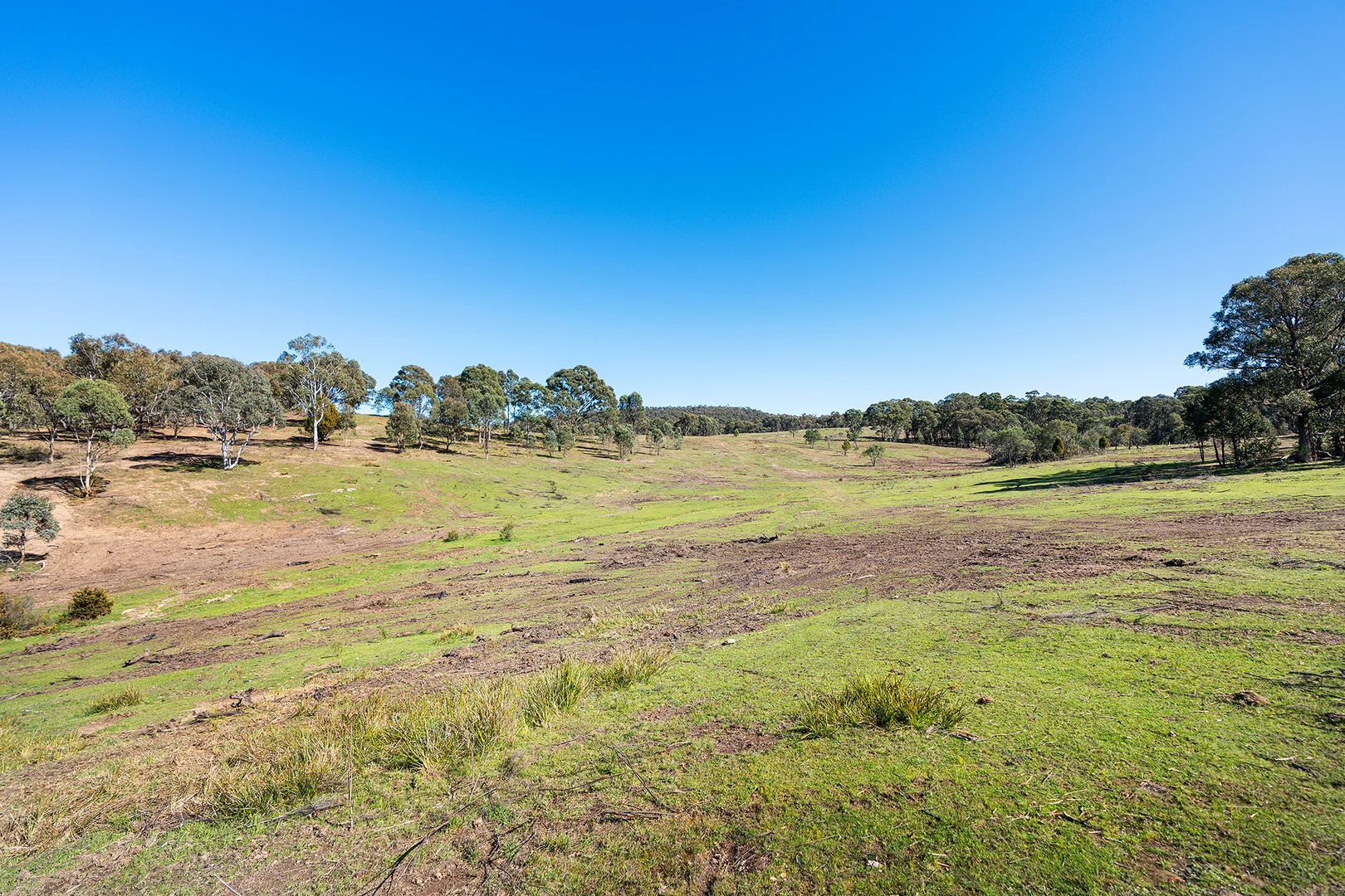 Additional image 13 of 255 Taradale Road, Drummond North VIC 3446