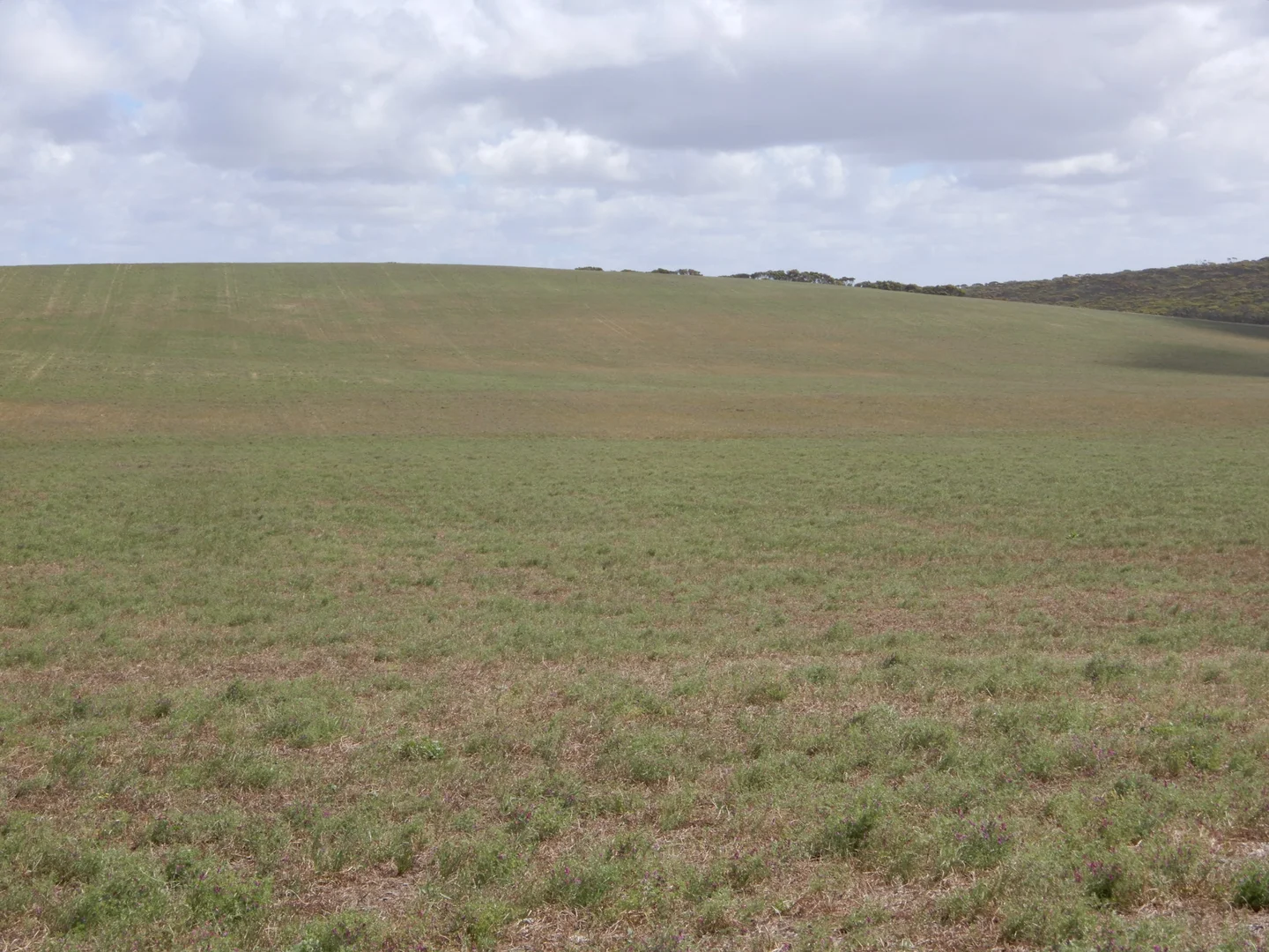 Additional image 7 of 33 Lutze Road, Coonalpyn SA 5265