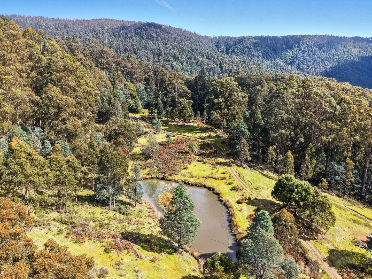 Additional image 17 of Lucaston TAS 7109