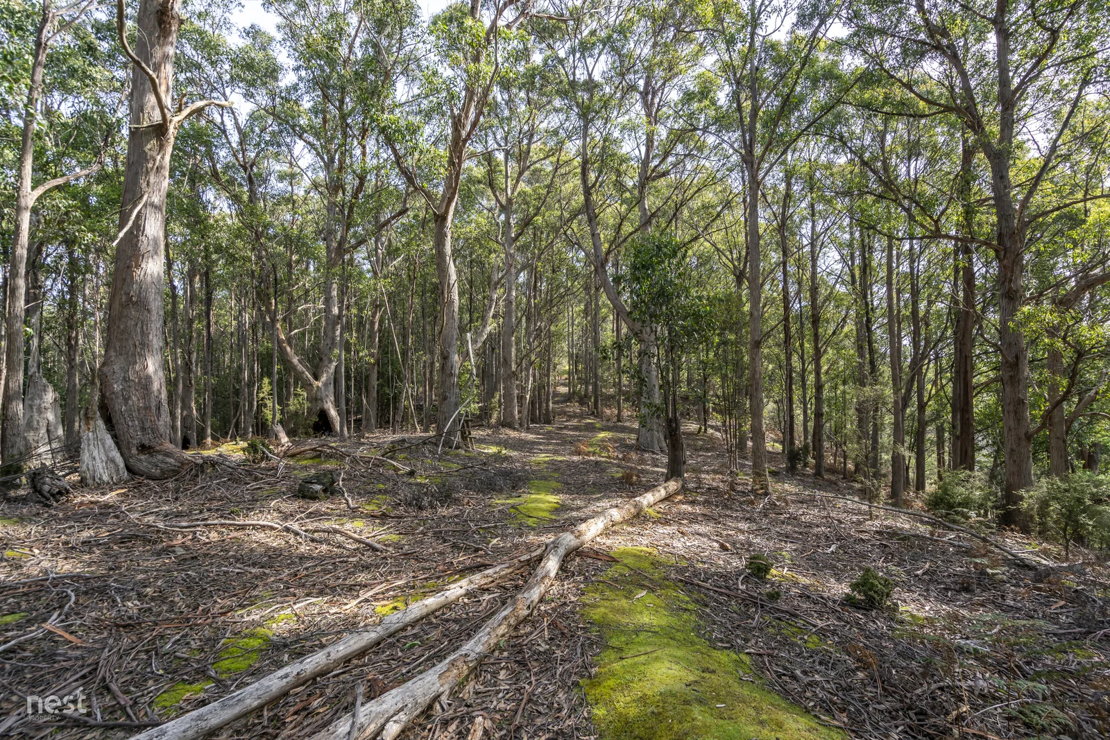 Additional image 11 of 405 Whittons Road, Kettering TAS 7155