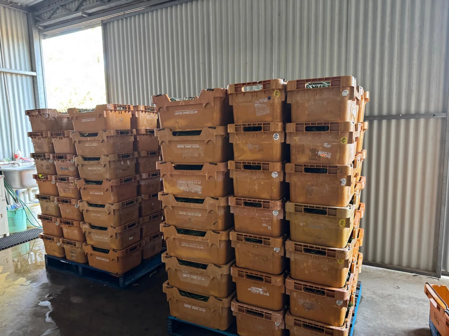 Additional image 33 of 317 Rangeview Drive, Wanerie WA 6503