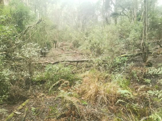 Additional image 7 of 0 Studderds Road, Moorleah TAS 7325