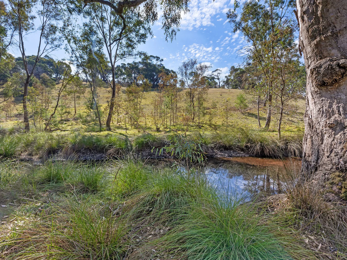 Additional image 14 of 2 Heathcote North Costerfield Road, Heathcote VIC 3523