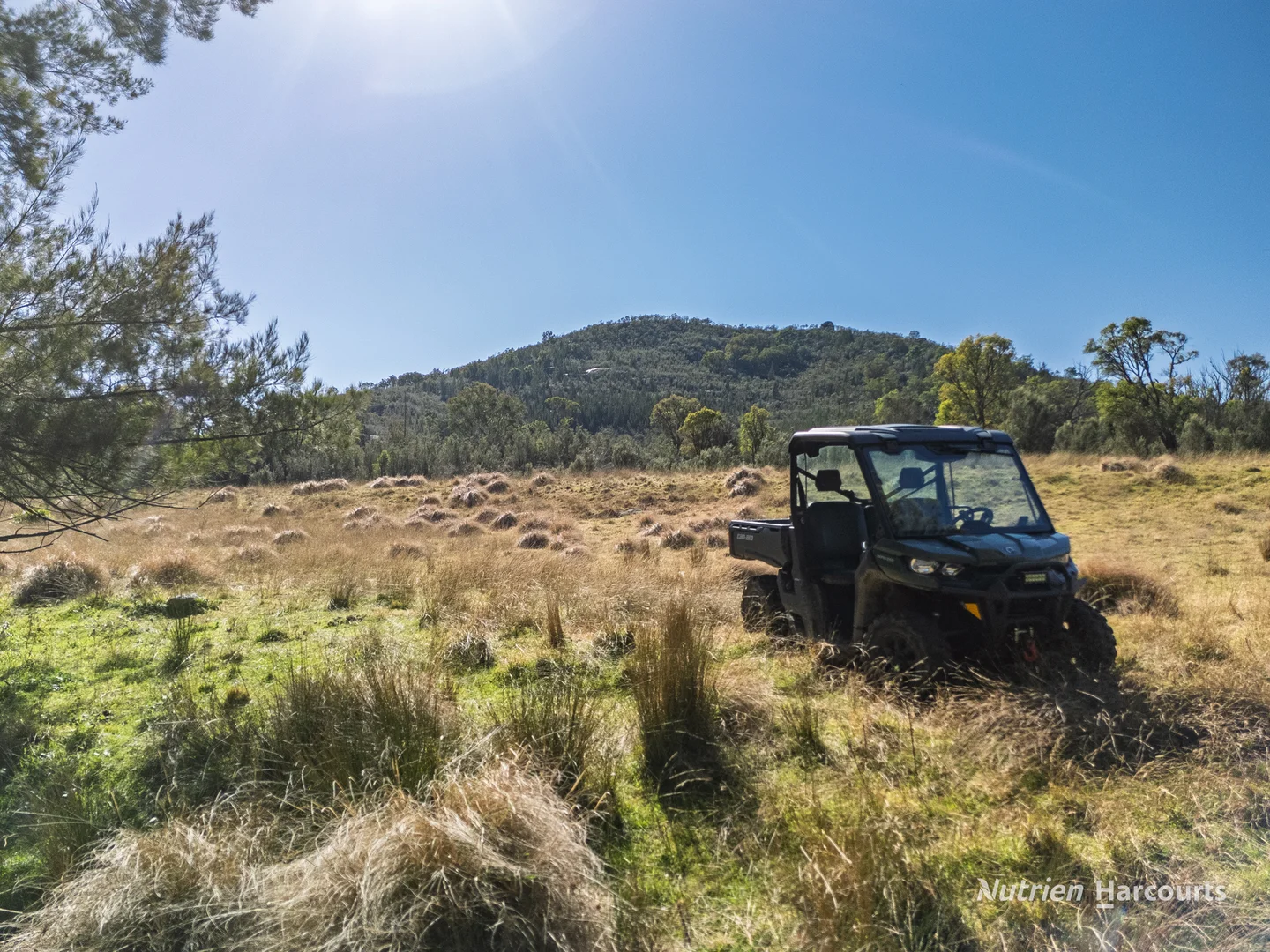 Additional image 21 of 206 - 208 Rocky Glen Road, Kingstown NSW 2358