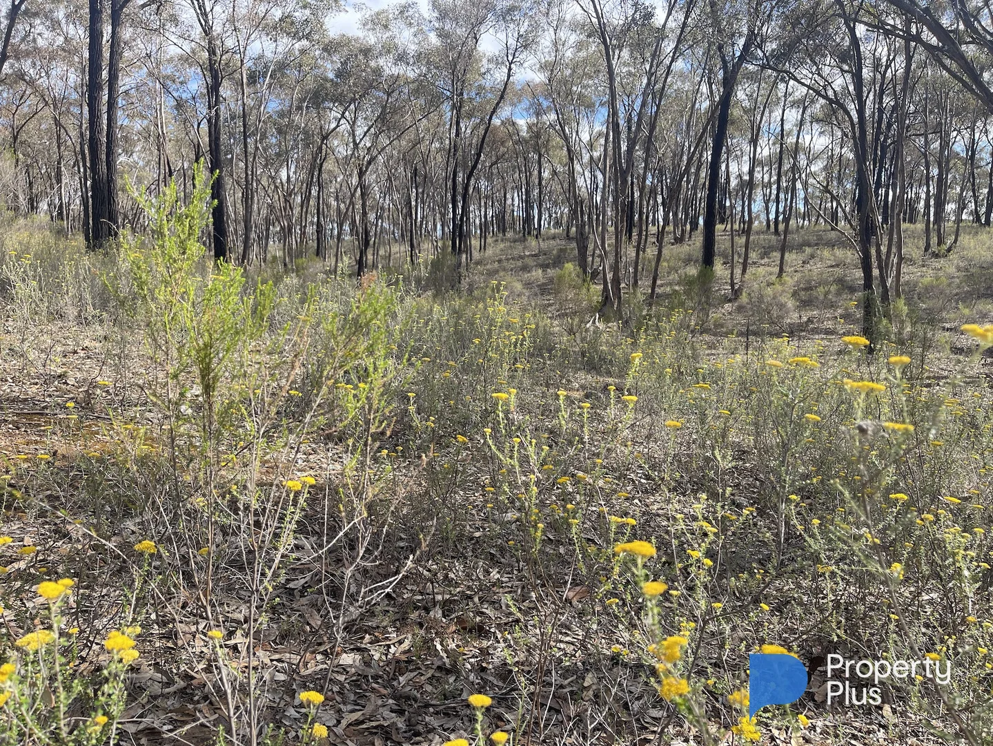 Additional image 5 of CA 37H Olympic Parade, Maiden Gully VIC 3551