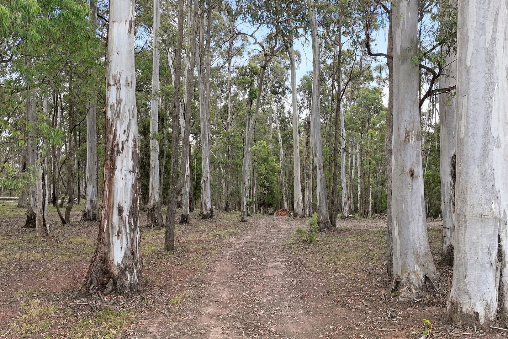 Additional image 7 of 245 Tolmie-Mahaikah Road, Tolmie VIC 3723