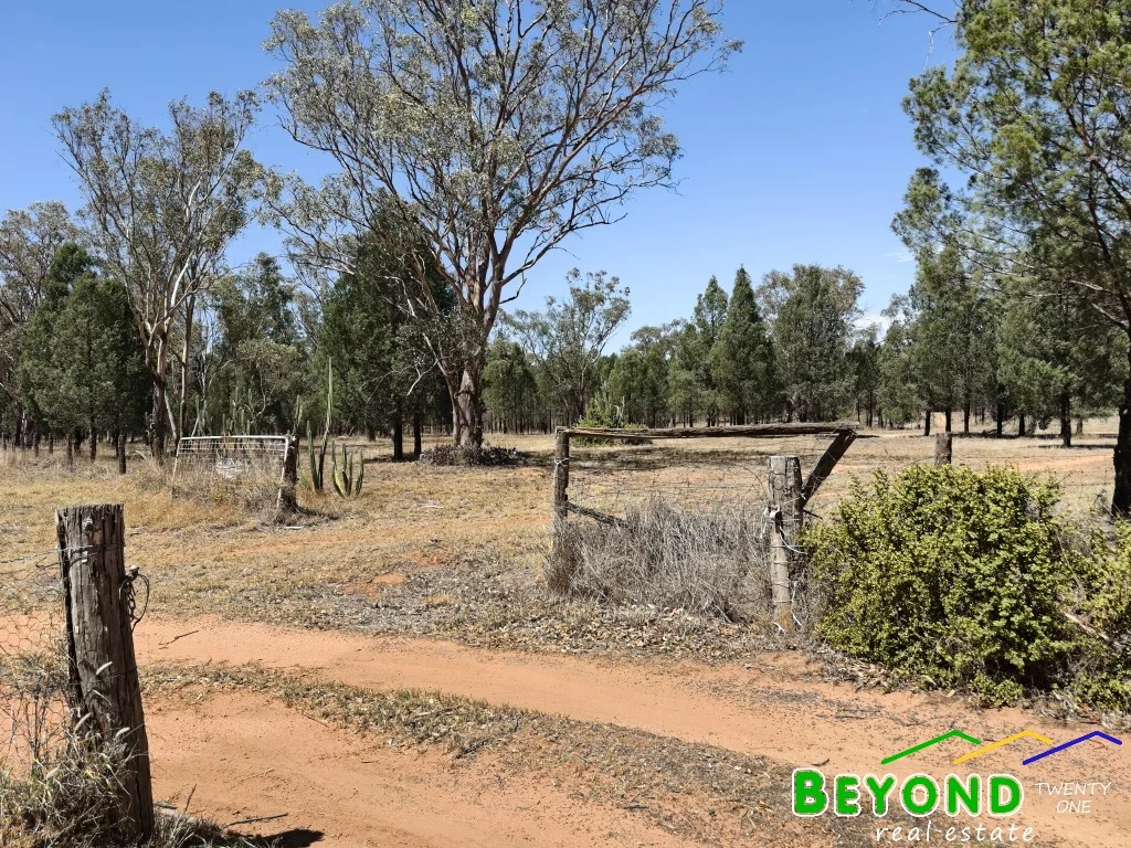 Additional image 22 of 836 Newell Highway, Gilgandra NSW 2827