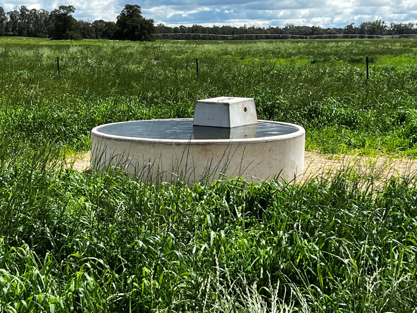 Additional image 6 of 929 Old Narrandera Road, Wagga Wagga NSW 2650