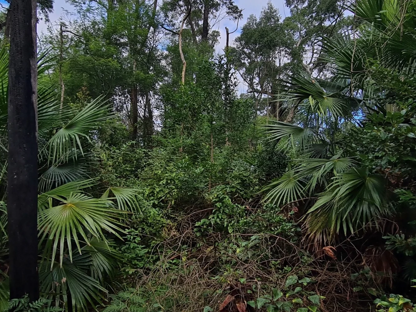 Additional image 5 of Illaroo NSW 2540